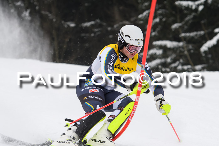 FIS Slalom Damen + Herren 23.02.2018