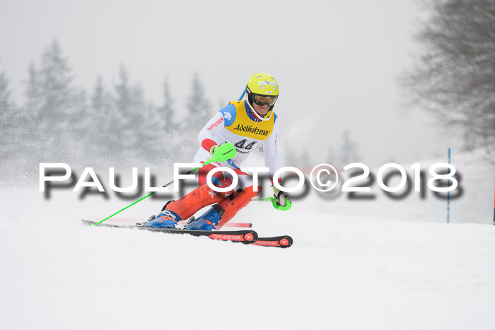 FIS Slalom Damen + Herren 23.02.2018