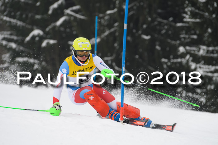 FIS Slalom Damen + Herren 23.02.2018