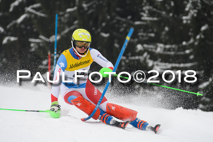 FIS Slalom Damen + Herren 23.02.2018