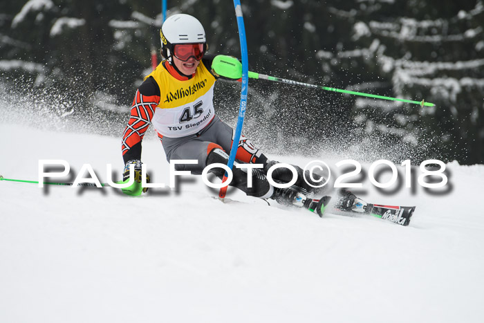 FIS Slalom Damen + Herren 23.02.2018