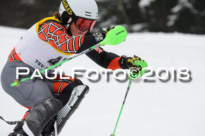 FIS Slalom Damen + Herren 23.02.2018