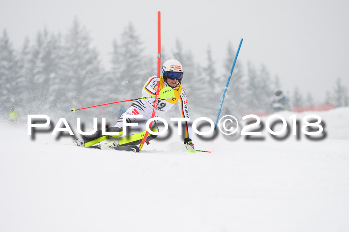 FIS Slalom Damen + Herren 23.02.2018