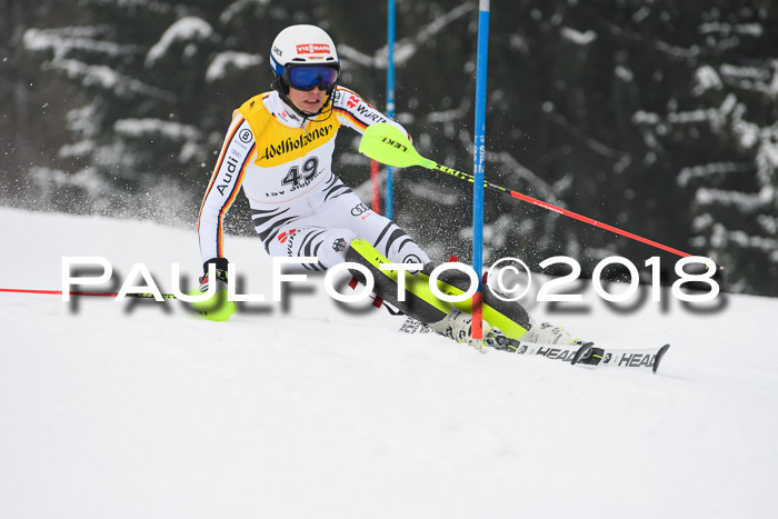 FIS Slalom Damen + Herren 23.02.2018