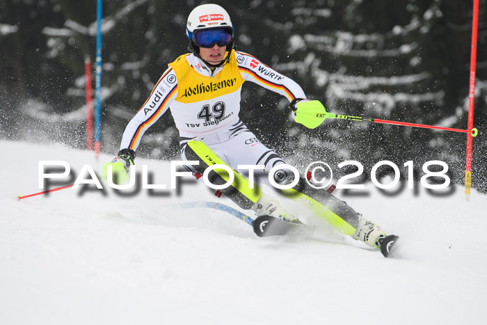 FIS Slalom Damen + Herren 23.02.2018