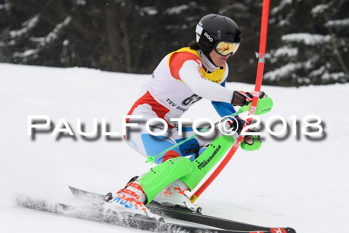 FIS Slalom Damen + Herren 23.02.2018