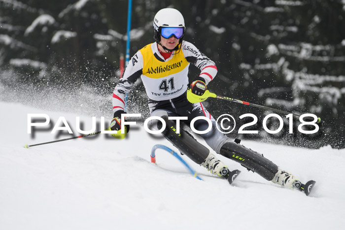 FIS Slalom Damen + Herren 23.02.2018