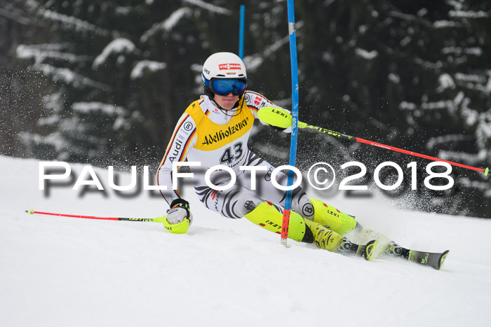 FIS Slalom Damen + Herren 23.02.2018