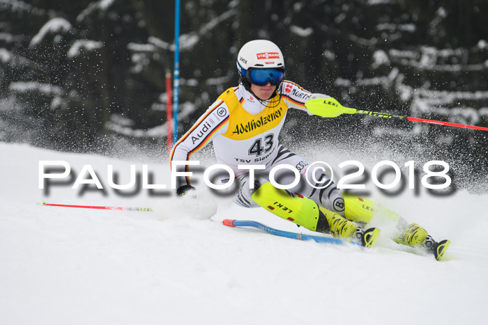 FIS Slalom Damen + Herren 23.02.2018