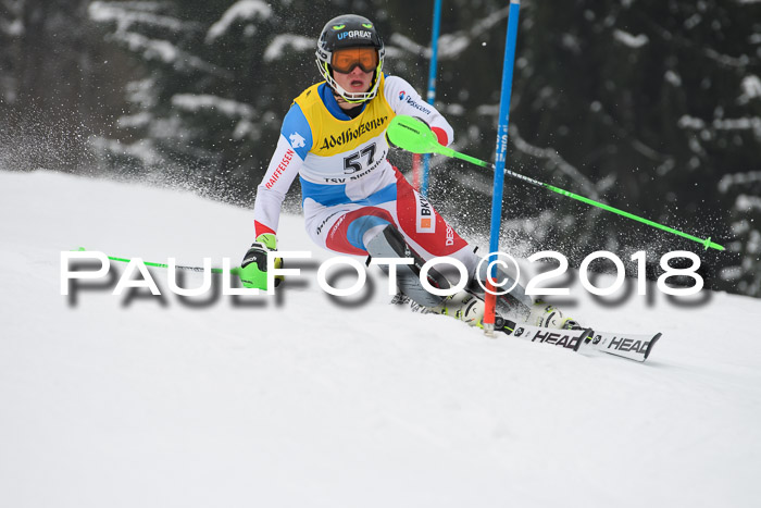 FIS Slalom Damen + Herren 23.02.2018