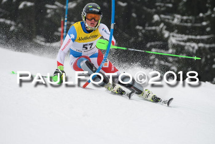 FIS Slalom Damen + Herren 23.02.2018