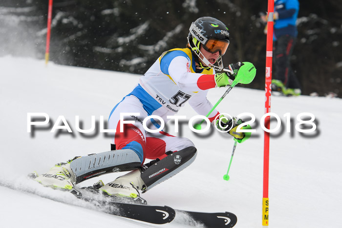 FIS Slalom Damen + Herren 23.02.2018