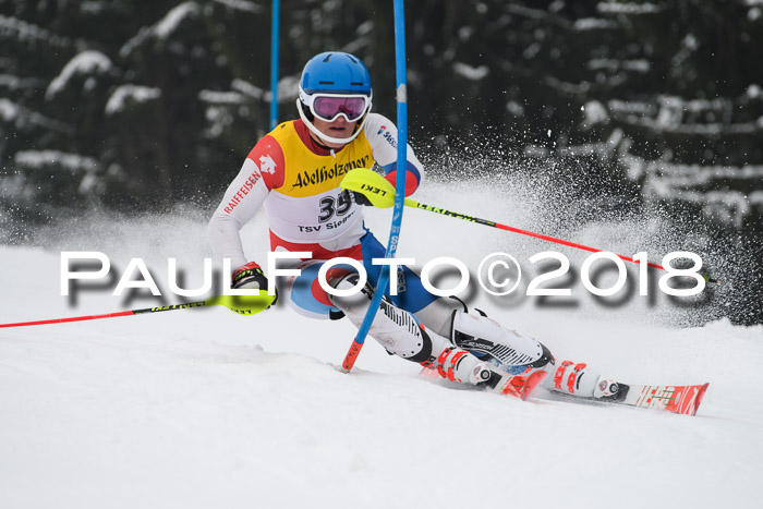 FIS Slalom Damen + Herren 23.02.2018