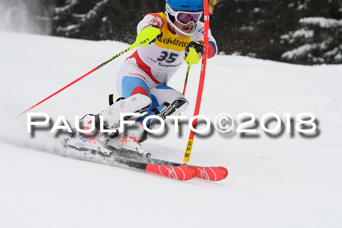 FIS Slalom Damen + Herren 23.02.2018