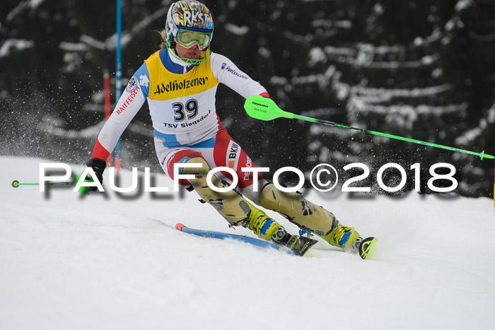 FIS Slalom Damen + Herren 23.02.2018