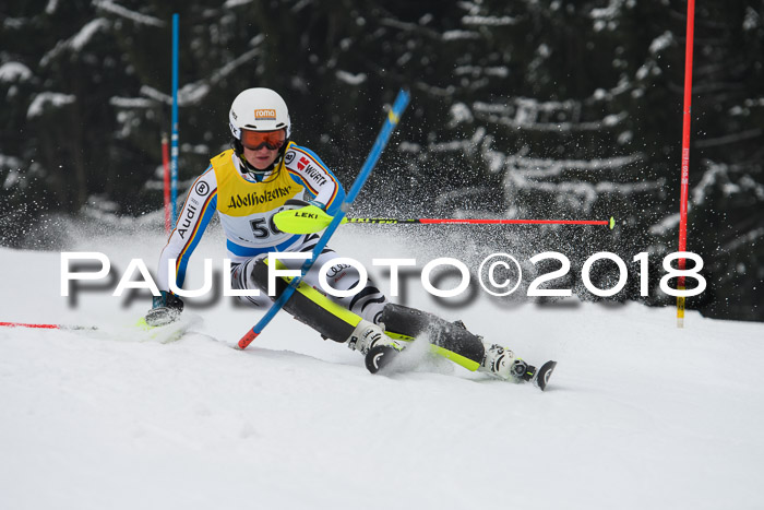 FIS Slalom Damen + Herren 23.02.2018