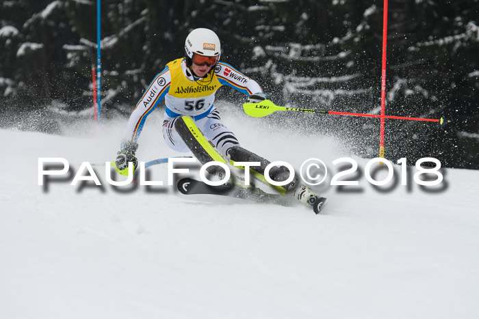 FIS Slalom Damen + Herren 23.02.2018