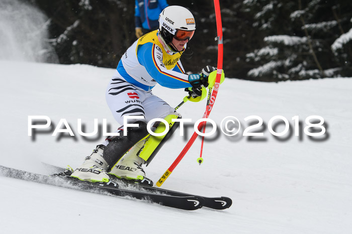 FIS Slalom Damen + Herren 23.02.2018