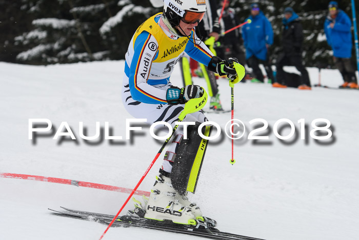 FIS Slalom Damen + Herren 23.02.2018