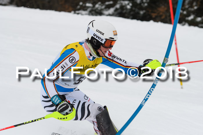 FIS Slalom Damen + Herren 23.02.2018