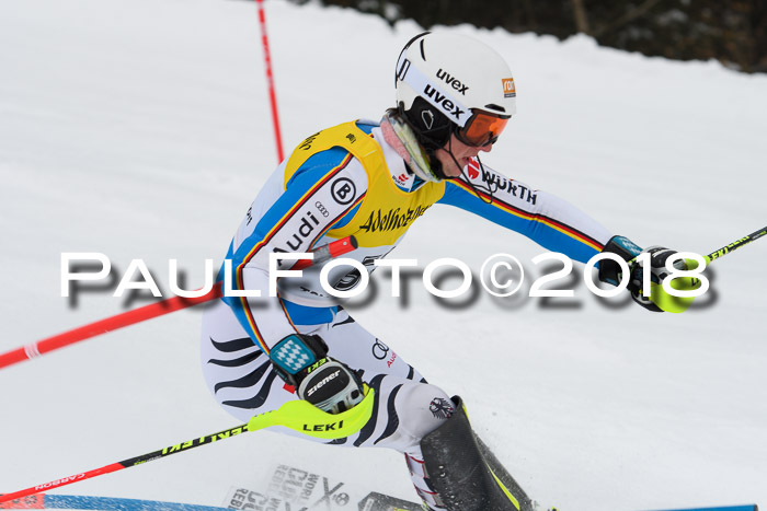 FIS Slalom Damen + Herren 23.02.2018