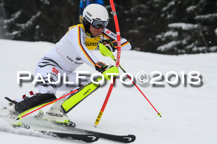 FIS Slalom Damen + Herren 23.02.2018