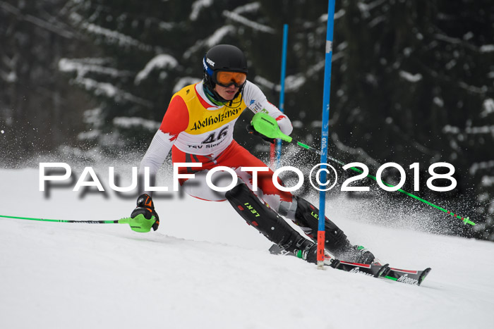 FIS Slalom Damen + Herren 23.02.2018