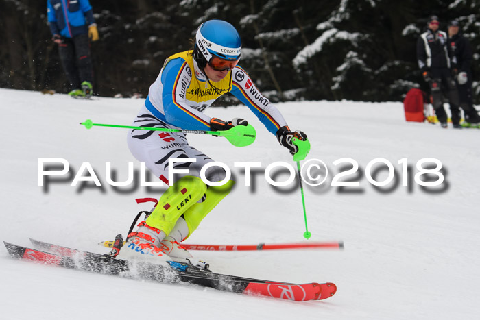 FIS Slalom Damen + Herren 23.02.2018