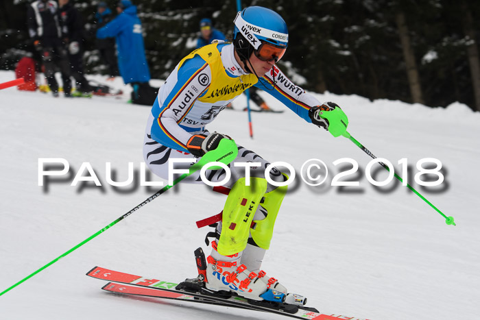 FIS Slalom Damen + Herren 23.02.2018