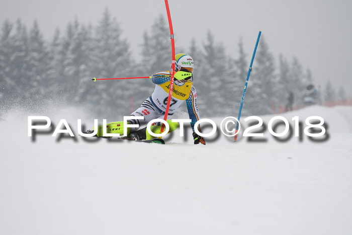 FIS Slalom Damen + Herren 23.02.2018