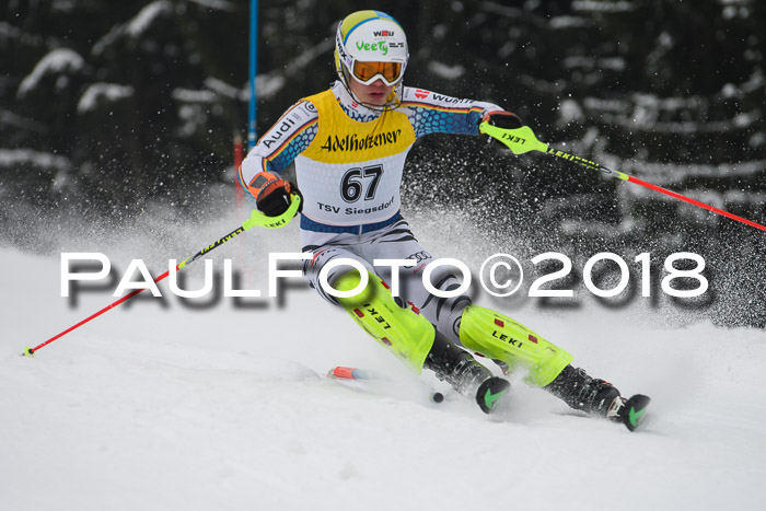 FIS Slalom Damen + Herren 23.02.2018