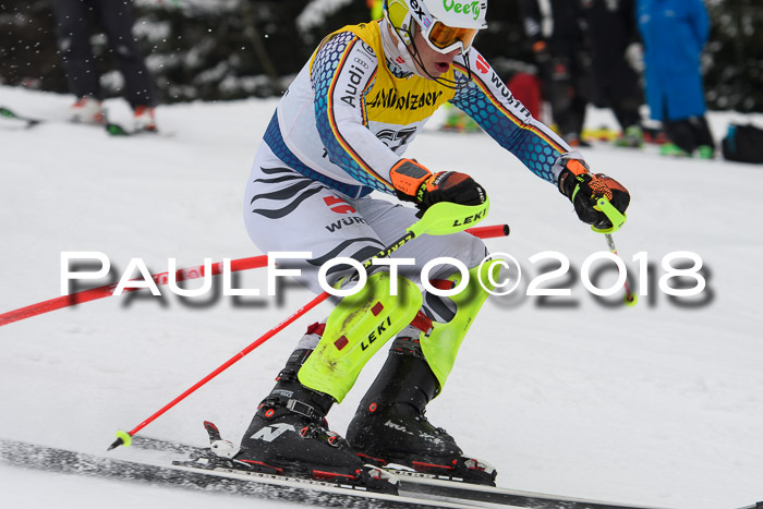 FIS Slalom Damen + Herren 23.02.2018