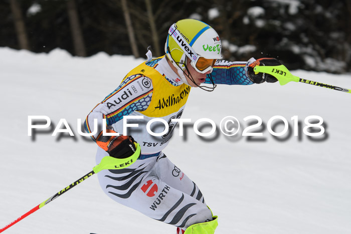 FIS Slalom Damen + Herren 23.02.2018