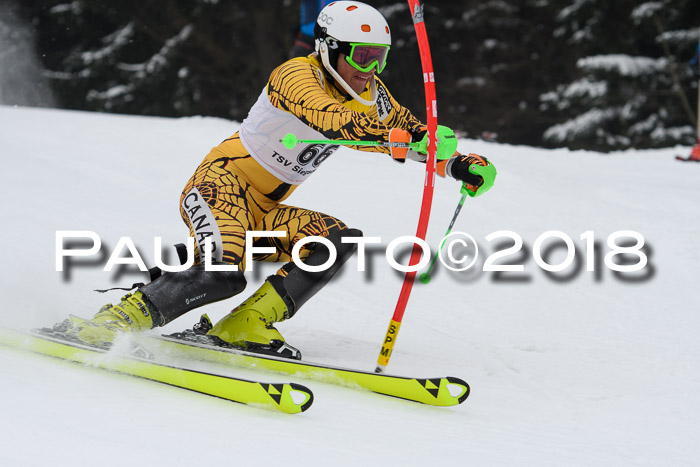 FIS Slalom Damen + Herren 23.02.2018