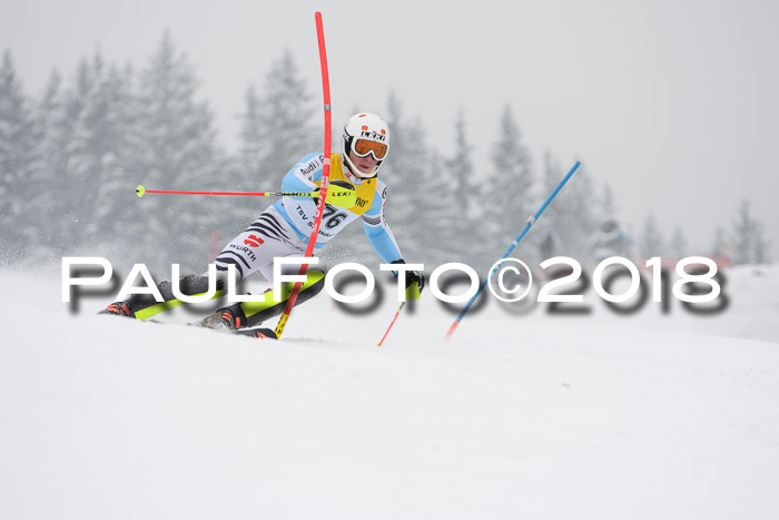 FIS Slalom Damen + Herren 23.02.2018