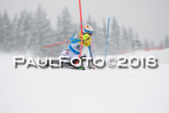 FIS Slalom Damen + Herren 23.02.2018