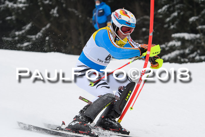 FIS Slalom Damen + Herren 23.02.2018