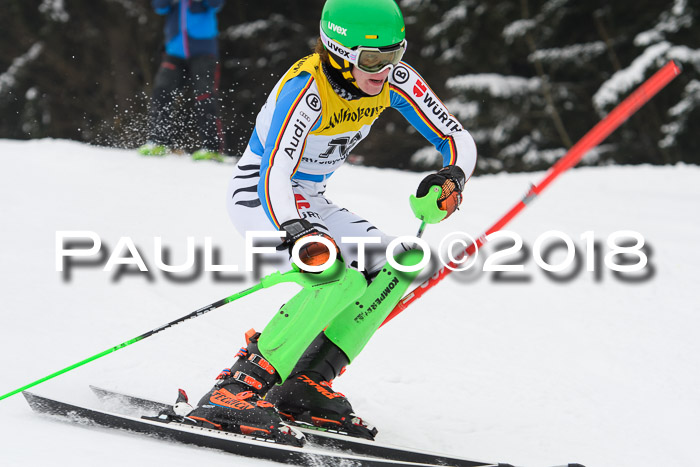 FIS Slalom Damen + Herren 23.02.2018