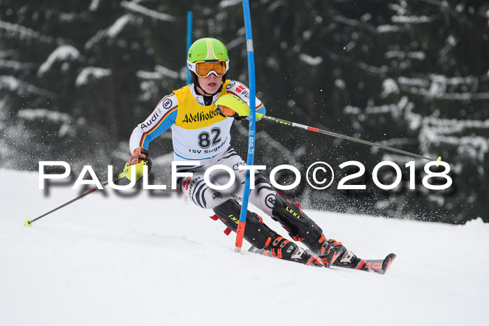 FIS Slalom Damen + Herren 23.02.2018