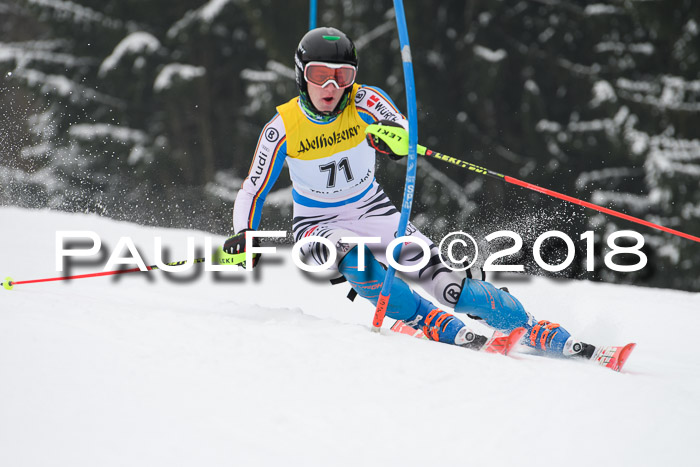 FIS Slalom Damen + Herren 23.02.2018