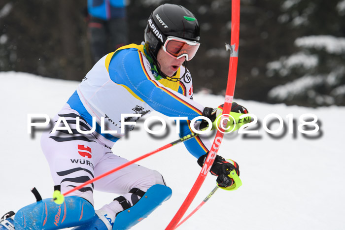 FIS Slalom Damen + Herren 23.02.2018