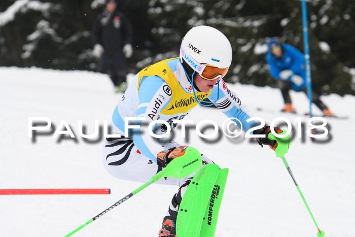 FIS Slalom Damen + Herren 23.02.2018