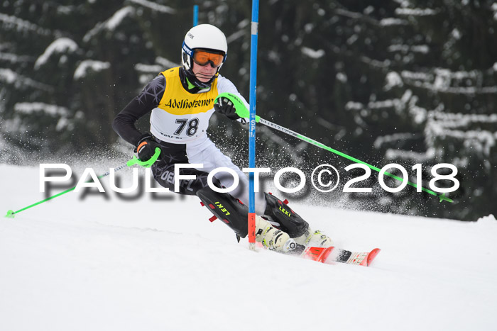 FIS Slalom Damen + Herren 23.02.2018