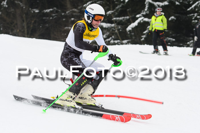 FIS Slalom Damen + Herren 23.02.2018