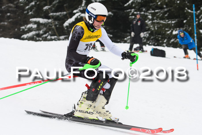 FIS Slalom Damen + Herren 23.02.2018