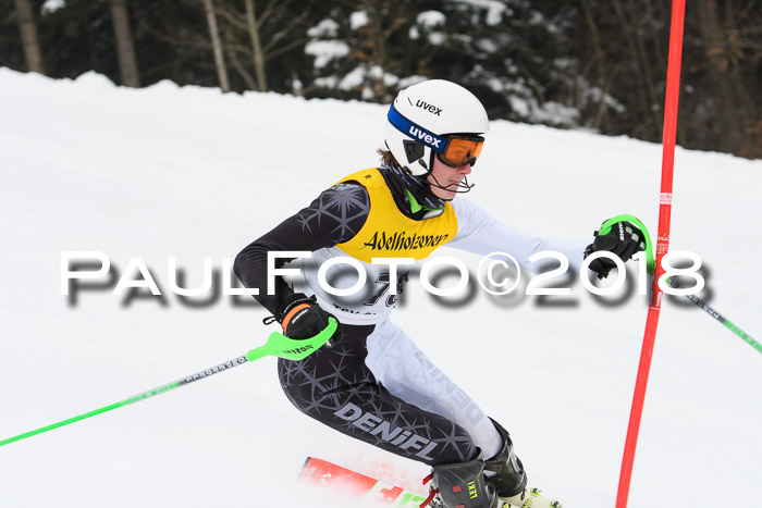 FIS Slalom Damen + Herren 23.02.2018