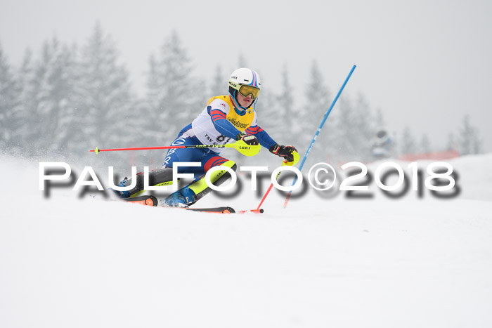 FIS Slalom Damen + Herren 23.02.2018