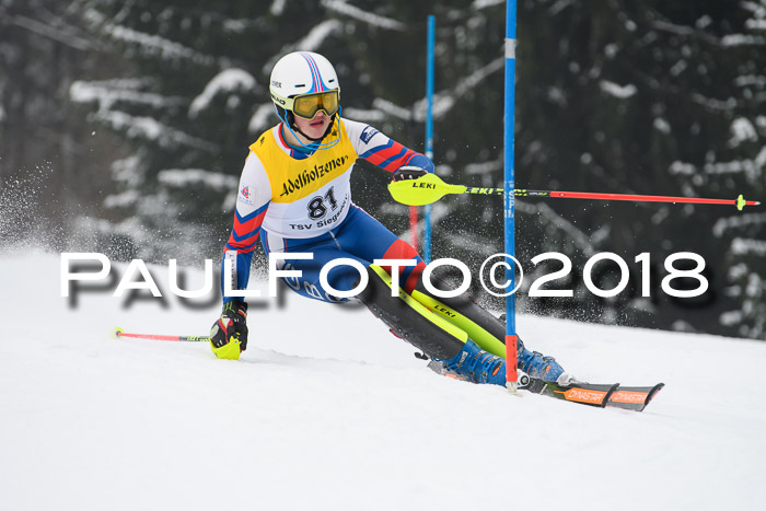 FIS Slalom Damen + Herren 23.02.2018