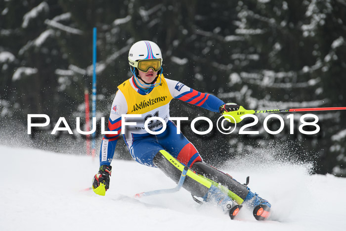 FIS Slalom Damen + Herren 23.02.2018