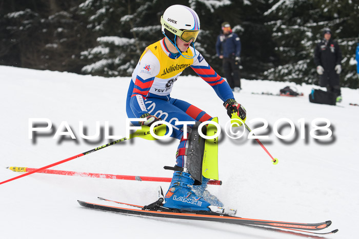 FIS Slalom Damen + Herren 23.02.2018